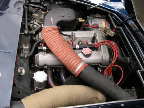 49.jpg