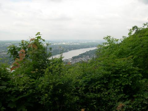 57.jpg